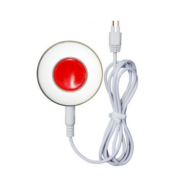 Wireless water detector
