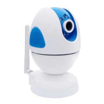 Network Camera