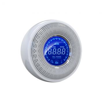 CO Detector