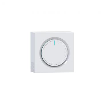 Wireless Gas Detector