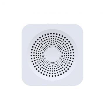 Mini Smart Gateway